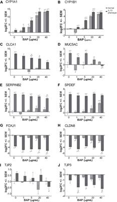 Assessing susceptibility for polycyclic aromatic hydrocarbon toxicity in an in vitro 3D respiratory model for asthma